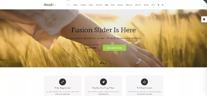 avada wordpress responsive video theme