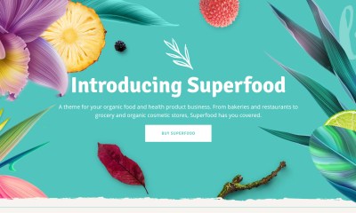 WordPress Food Blog Themes