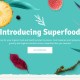 WordPress Food Blog Themes