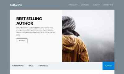 WordPress Writers Themes