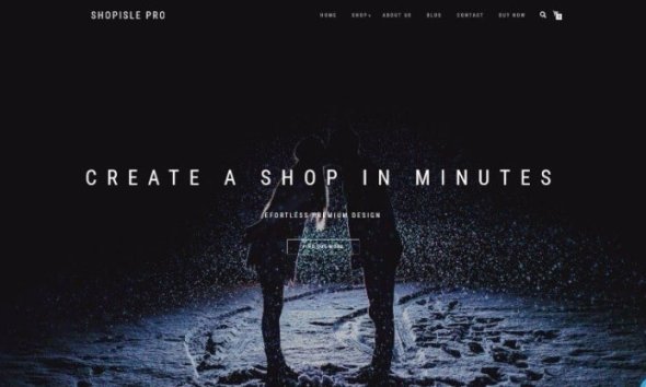 WordPress eCommerce Themes