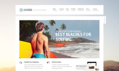 WordPress BuddyPress Themes