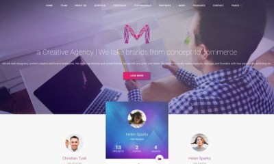 WordPress Material Design Themes