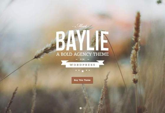 WordPress Parallax Themes