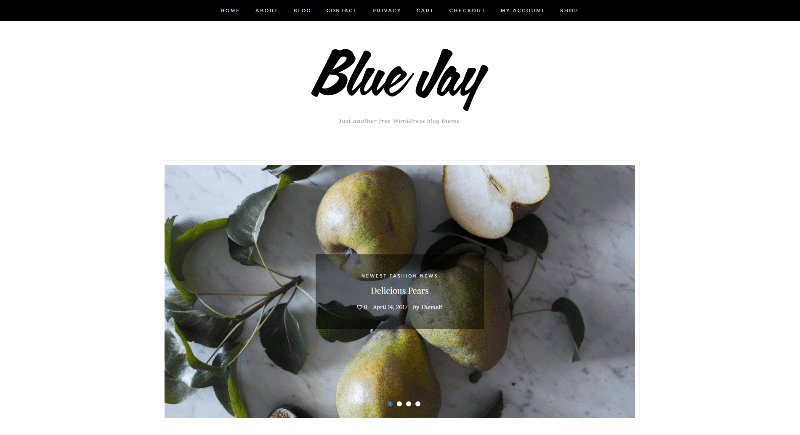 free wordpress themes