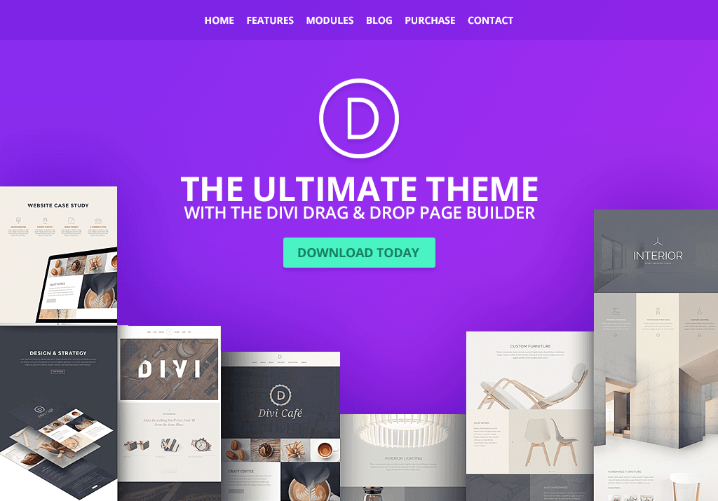 Divi WordPress Theme