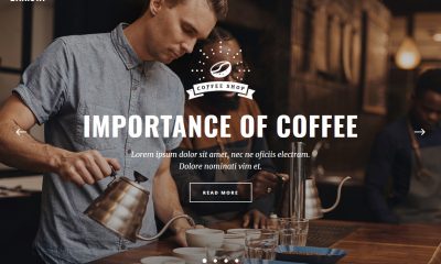 WordPress Coffee Shop Themes