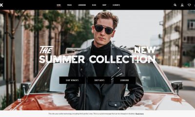 WordPress Fashion Themes