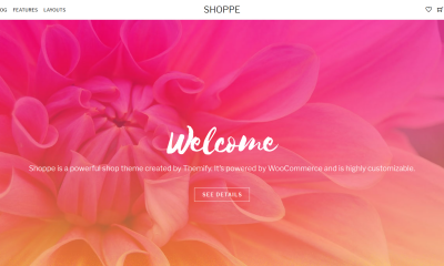 WordPress WooCommerce Themes