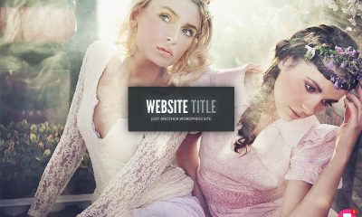 WordPress Themes for Filmmakers